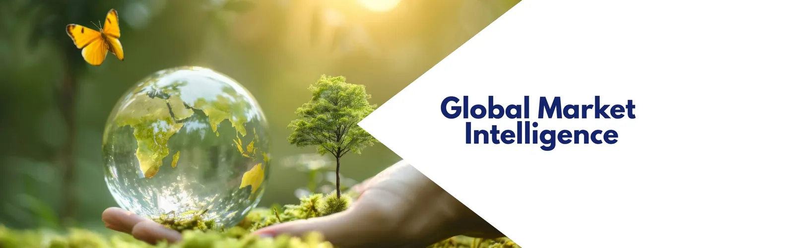 Global Market Intelligence: a glass globe and a young tree held in a hand